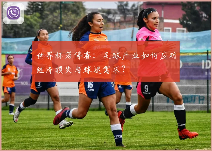 世界杯若停赛：足球产业如何应对经济损失与球迷需求？